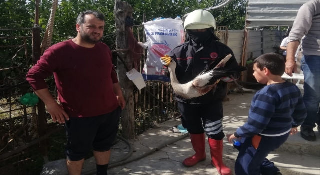 Hatay’da yaralı leylek tedavi altına alındı
