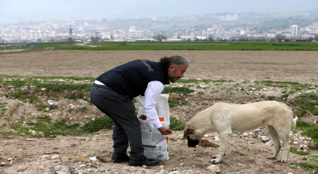 Depremin merkez üssü Kahramanmaraş’ta sahipsiz hayvanlar da unutulmadı