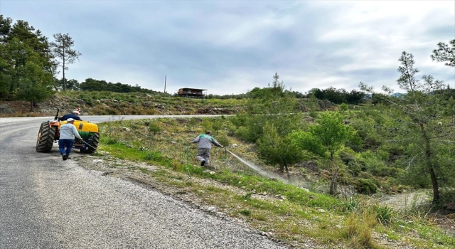 Serik’te ormancılar yol kenarı temizleme çalışması başlattı