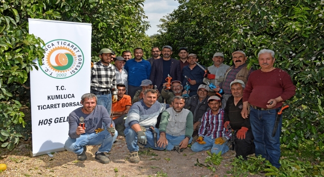 Kumluca’da çiftçilere turunçgillerde budama eğitimi verildi