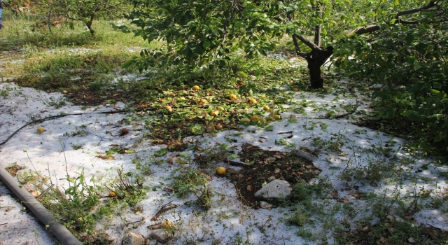 Mersin’de sağanak ve doludan etkilenen tarım alanlarında hasar tespiti yapılıyor