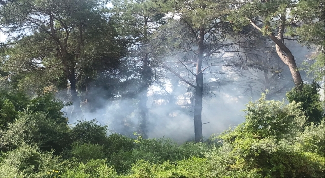 Antalya’da ormanlık alanda çıkan yangın söndürüldü