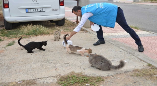 Yenişehir’de sahipsiz hayvanlara mama ve su desteği
