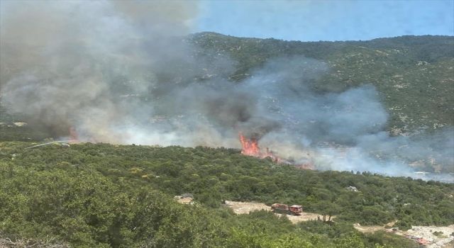 Kaş’ta çıkan orman yangını kontrol altına alındı