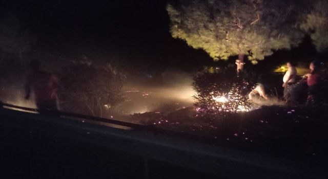 Mersin’de çıkan orman yangını kontrol altına alındı