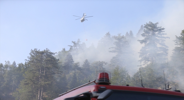 Kahramanmaraş’ta çıkan orman yangınına müdahale ediliyor