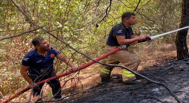Hatay’da çıkan orman yangını büyümeden kontrol altına alındı