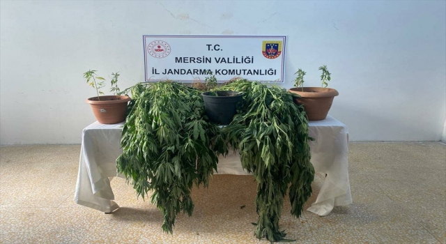 Mersin’de uyuşturucu operasyonunda 3 zanlı yakalandı
