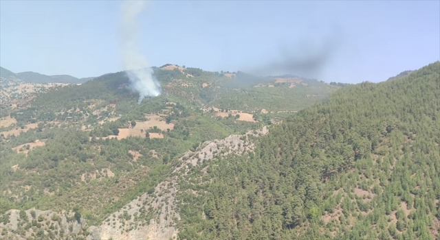 Adana’da çıkan orman yangını kontrol altına alındı