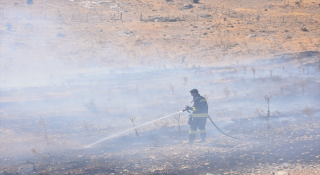 Gaziantep’te çıkan orman yangını söndürüldü