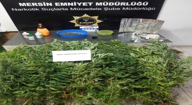 Mersin’de evde uyuşturucu yetiştiren 2 zanlı yakalandı
