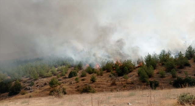 Kahramanmaraş’ta ormanlık alanda çıkan yangın söndürüldü
