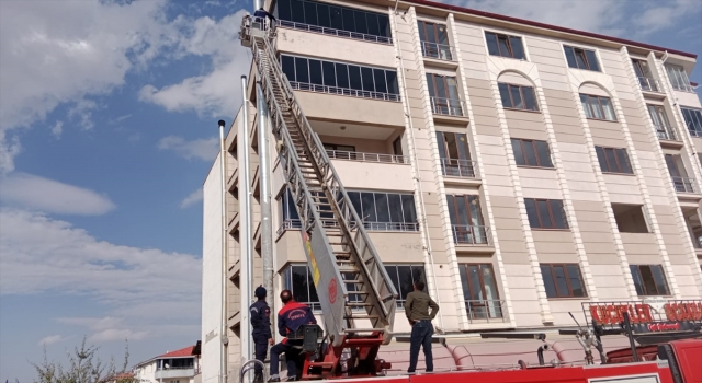 Kahramanmaraş’ta ağır hasarlı binada mahsur kalan kediyi jandarma kurtardı