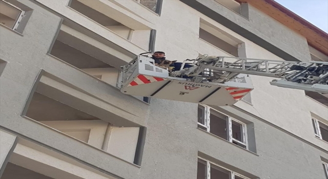 Hatay’da ağır hasarlı binada mahsur kalan köpeği itfaiyeciler kurtardı