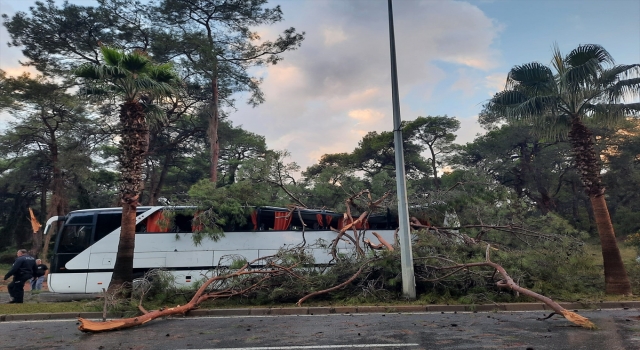 Antalya’da servis otobüsünün üstüne ağaç devrildi 7 kişi yaralandı