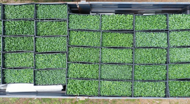 Gaziantep’te çiftçilere 9 yılda 1 milyar 450 bin lira destek verildi