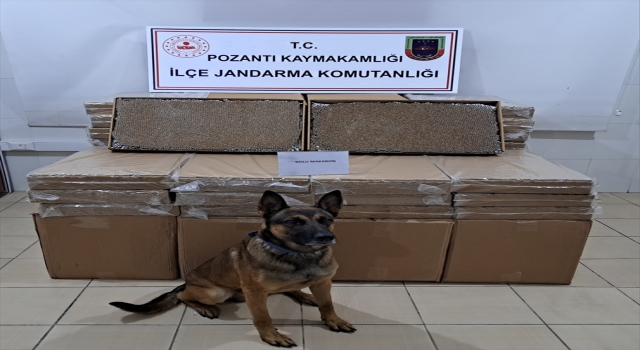 Adana’da yolcu otobüsünde 300 bin dolu makaron ele geçirildi