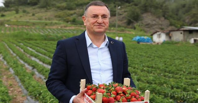 Başkan Savaş’ın Projesi İlk Meyvesini Verdi