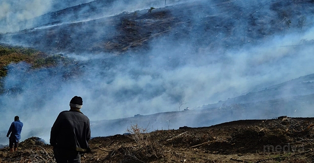 Burdur&#039;da ağaç kesimi yapılan alanda çıkan yangın söndürüldü
