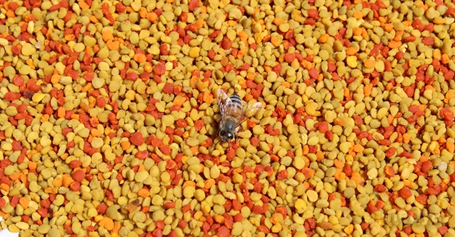 Mersinli arıcılar sezonun ilk polen hasadına başladı