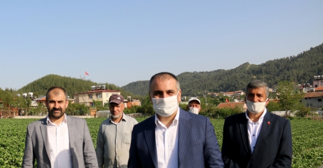 MHP Hatay Milletvekili Lütfi Kaşıkçı: "Türkiye, Bayırbucak Türkmenlerinin ata toprağıdır"