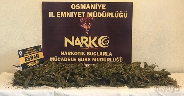 Osmaniye&#039;de tırda 3 kilo 600 gram esrar ele geçirildi