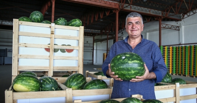 Türkiye, karpuz ihracatına hızlı başladı