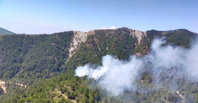 Hatay&#039;da çıkan orman yangını kontrol altına alındı