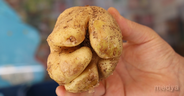 Mersin De Yumruk Seklindeki Patates Gorenleri Sasirtiyor Medya Gazete