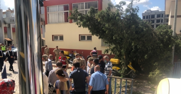 Osmaniye'de üzerine ağaç dalı düşen PTT çalışanı yaralandı