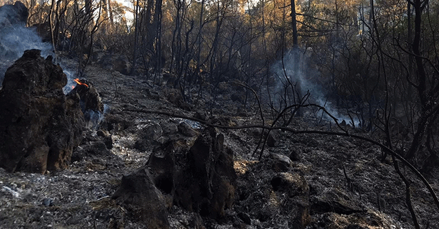 Burdur&#039;da çıkan orman yangını kontrol altına alınmaya çalışılıyor