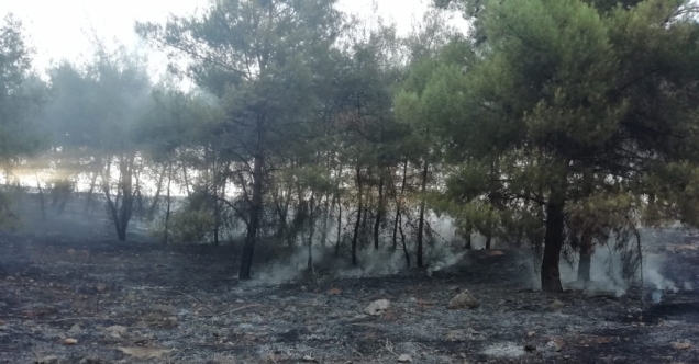Hatay&#039;da çıkan yangınında 2 hektar ormanlık alan zarar gördü