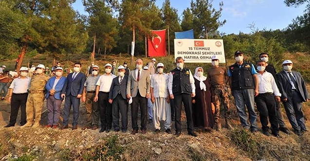 Osmaniye&#039;de 15 Temmuz Demokrasi Şehitleri Hatıra Ormanı&#039;na fidan dikildi