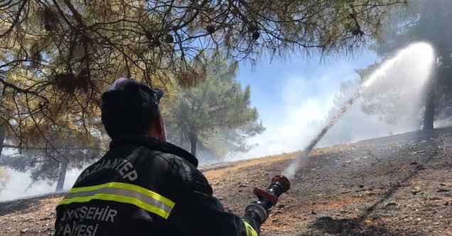 Gaziantep&#039;te çıkan orman yangını söndürüldü