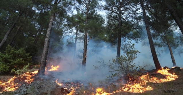 Kahramanmaraş&#039;ta çıkan orman yangını kontrol altına alındı