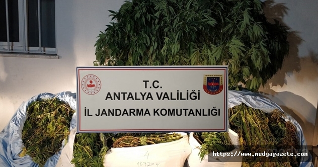 Antalya&#039;da 161 kilogram esrar ele geçirildi