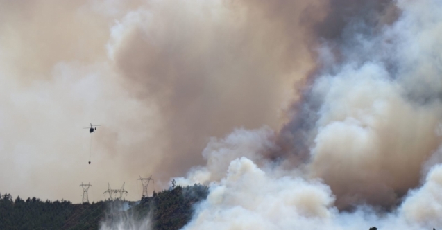 Adana&#039;da orman yangını