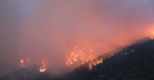 Adana&#039;daki orman yangınına havadan müdahale tekrar başladı