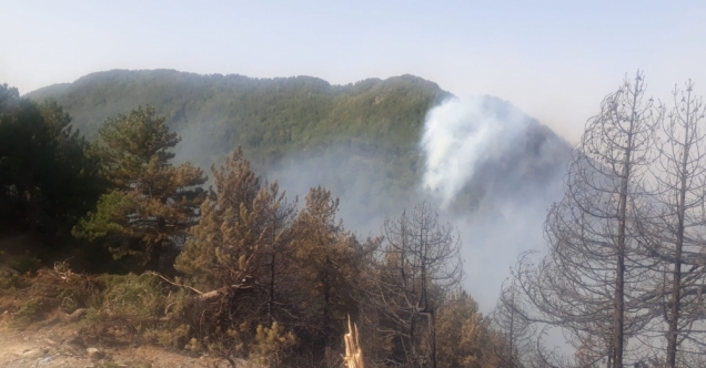 Hatay'daki orman yangını büyük ölçüde kontrol altına alındı