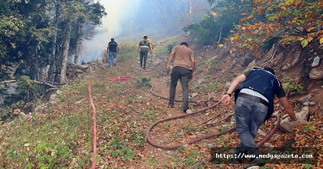 Osmaniye&#039;deki orman yangınına müdahale ediliyor