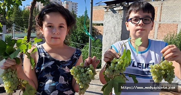 Şifa deposu üzüm pekmezinin sofralara uzanan yolculuğu