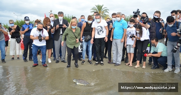 Antalya&#039;da tedavisi tamamlanan yeşil deniz kaplumbağası denize bırakıldı