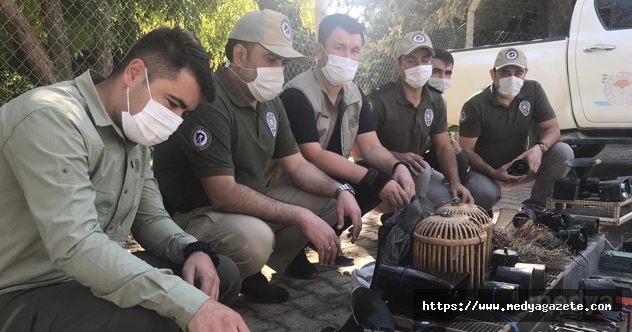Gaziantep'te kaçak avcılıkta kullanılan ses cihazları ve kafesler imha edildi