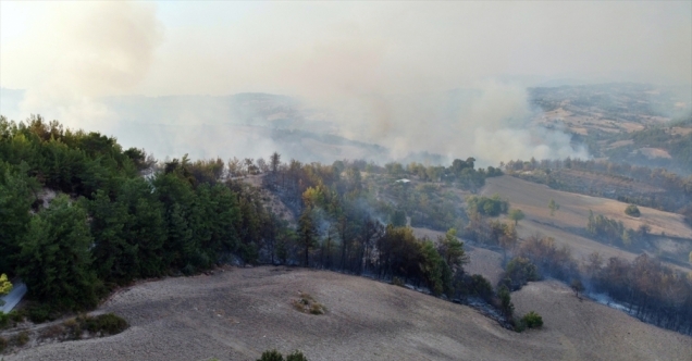 Osmaniye&#039;de çıkan orman yangınına müdahale ediliyor