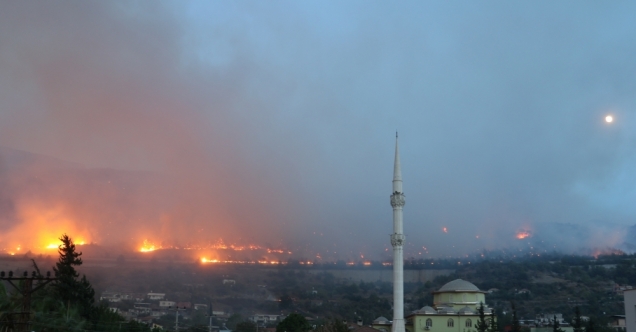 Hatay&#039;da çıkan orman yangınına müdahale ediliyor