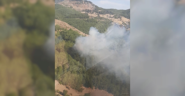 Adana&#039;da çıkan orman yangını kontrol altına alındı