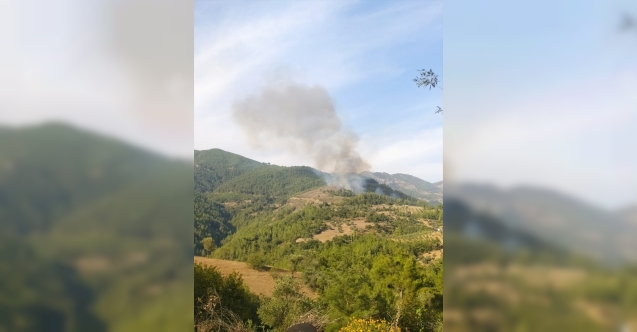 Adana&#039;da çıkan orman yangınına müdahale ediliyor