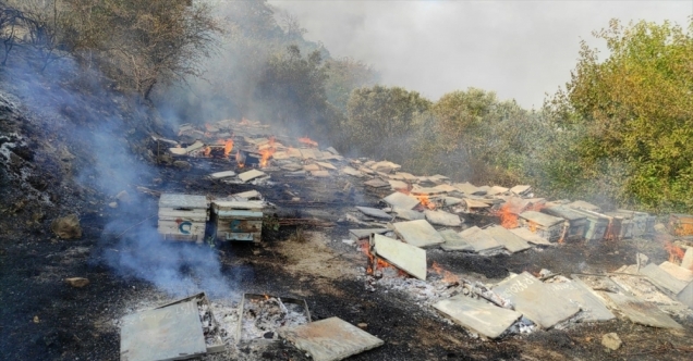 Hatay&#039;da bahçede çıkan yangın arı kovanlarına zarar verdi