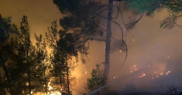 Kahramanmaraş&#039;taki orman yangını sürüyor