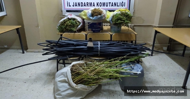 Hatay'da ormanlık alanda 9 kilo 750 gram kubar esrar ele geçirildi